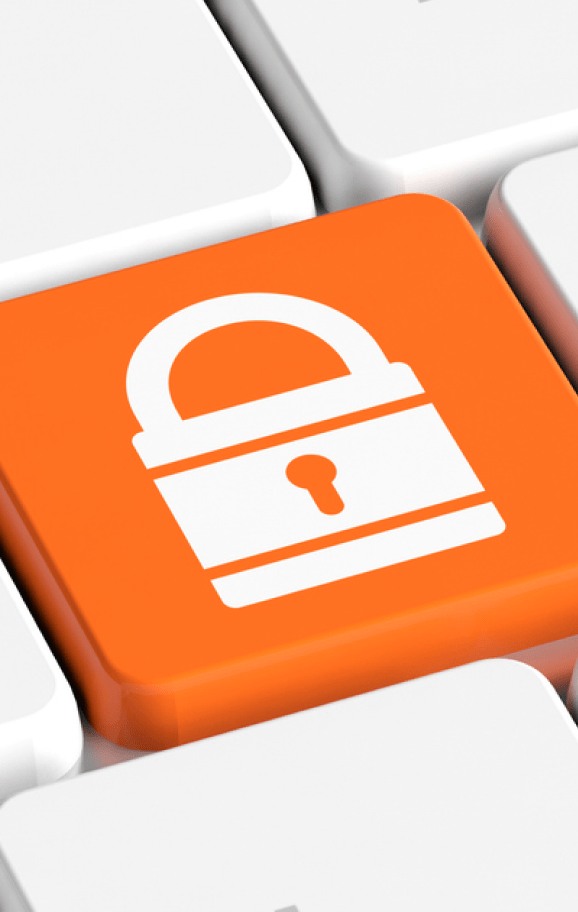 Monarch ISC Services Security Graphic
